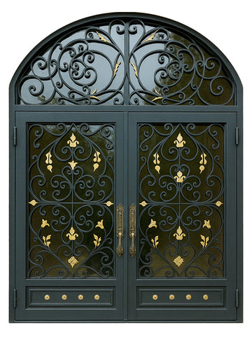 Royal 356 Wrought Iron Custom Exterior Door by Nova
