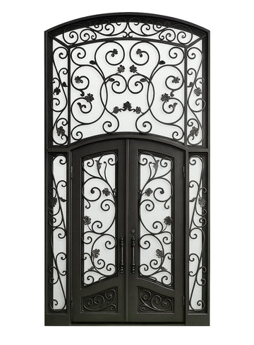 Royal 358 Wrought Iron Custom Exterior Door by Nova