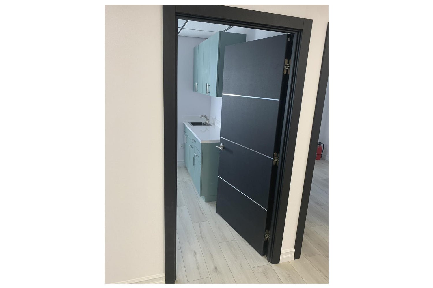 Nova HG008 Japan Oak Laminated Modern Interior Door