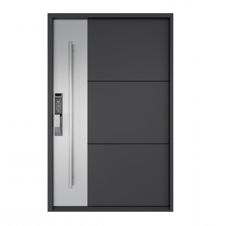 Nova Royal Series Pivot Wrought Iron Custom Exterior Door - Style 010