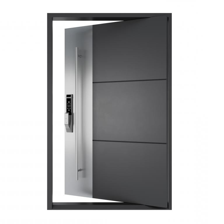 Nova Royal Series Pivot Wrought Iron Custom Exterior Door - Style 010